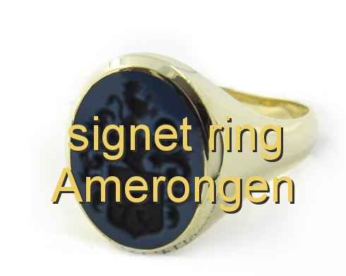 signet ring Amerongen