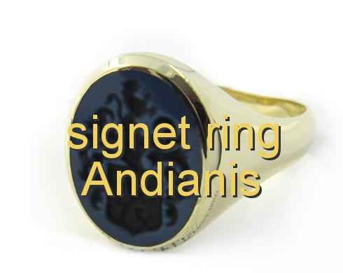 signet ring Andianis