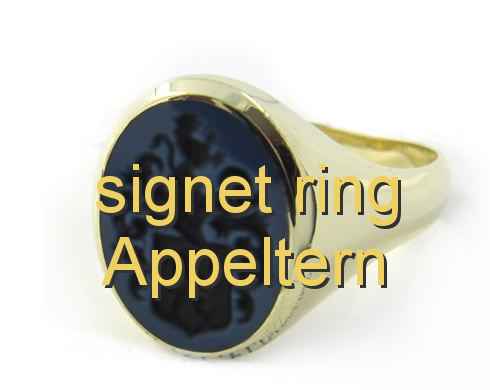 signet ring Appeltern