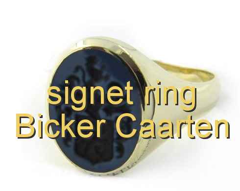 signet ring Bicker Caarten