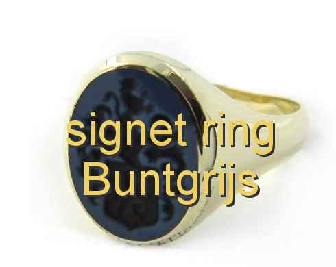 signet ring Buntgrijs