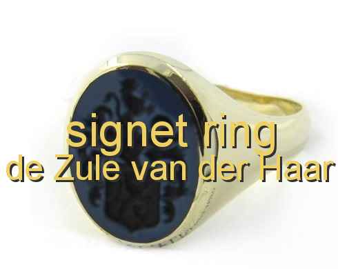 signet ring de Zule van der Haar