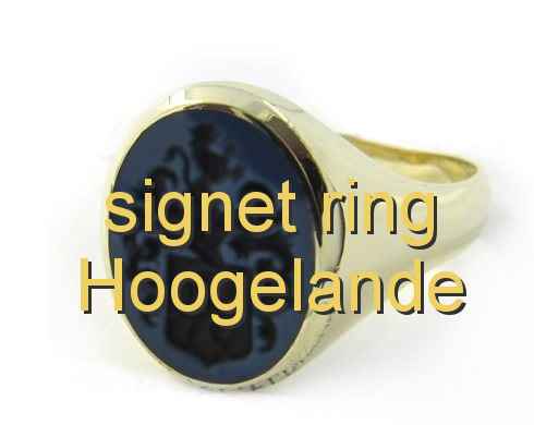 signet ring Hoogelande