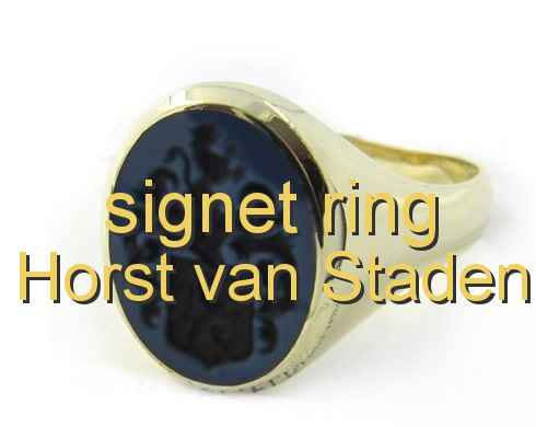 signet ring Horst van Staden