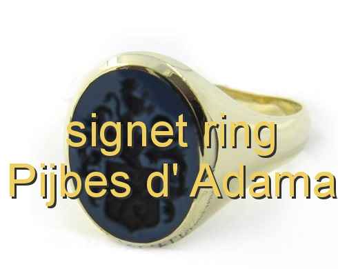 signet ring Pijbes d' Adama