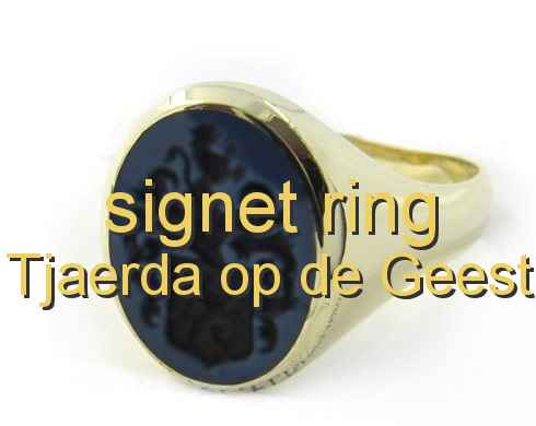 signet ring Tjaerda op de Geest